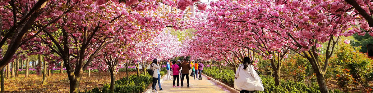 伟德betvlctor体育官网