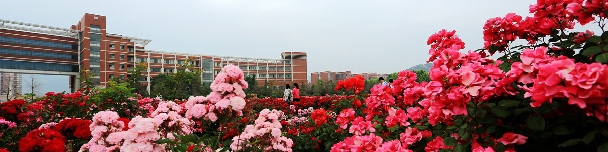 伟德betvlctor体育官网