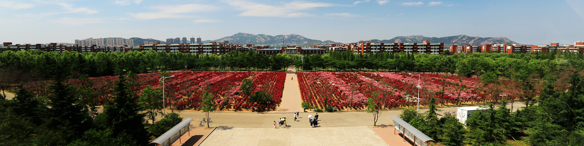 伟德betvlctor体育官网