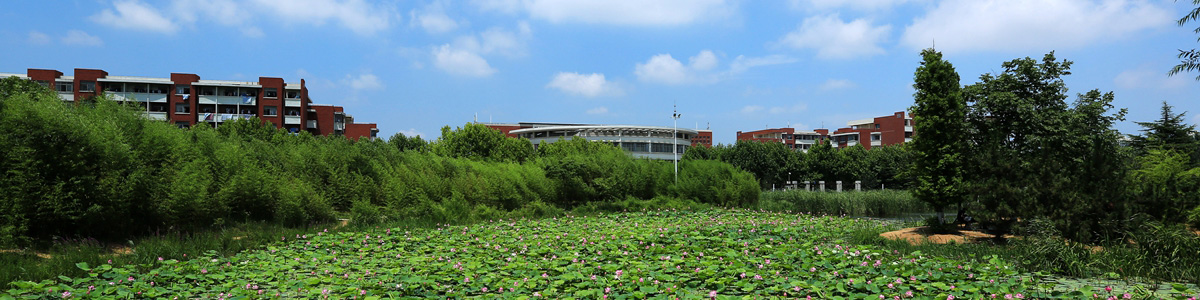 伟德betvlctor体育官网