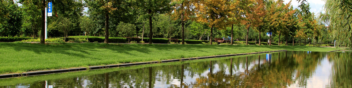 伟德betvlctor体育官网