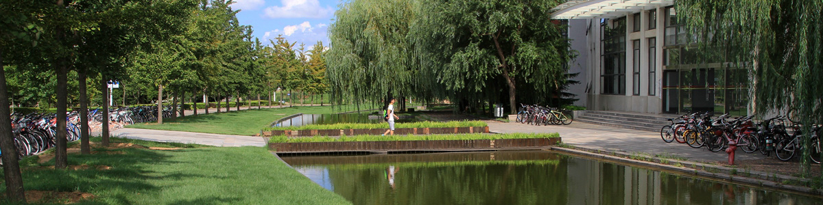 伟德betvlctor体育官网