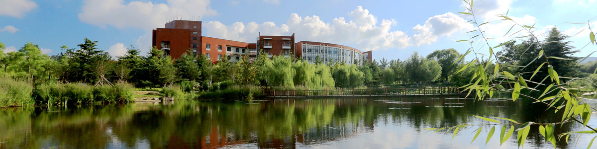 伟德betvlctor体育官网