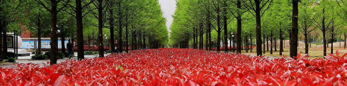 伟德betvlctor体育官网