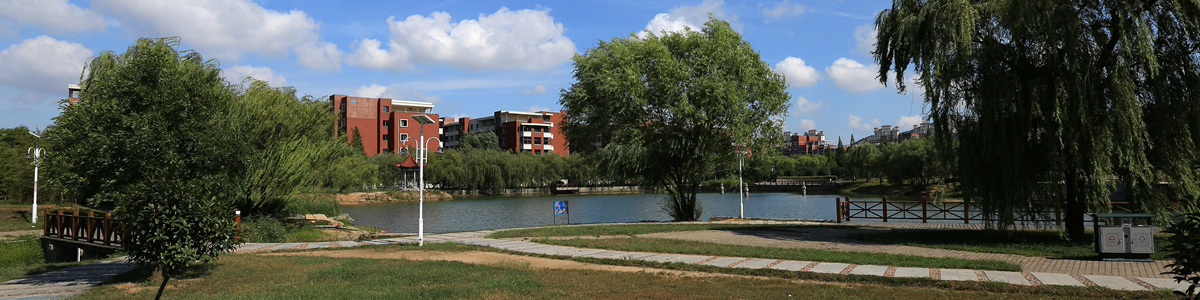 伟德betvlctor体育官网